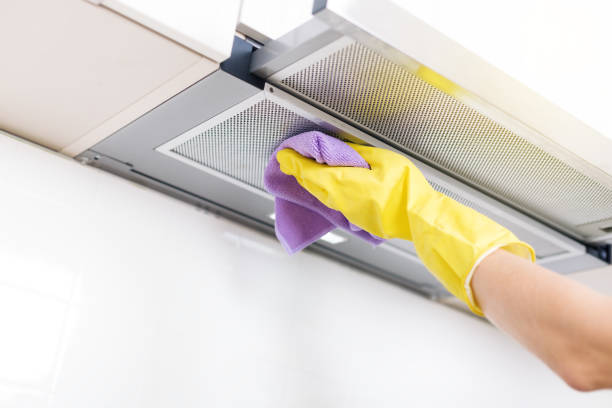 Best Air Duct Cleaning Near Me  in Vla Park, IL